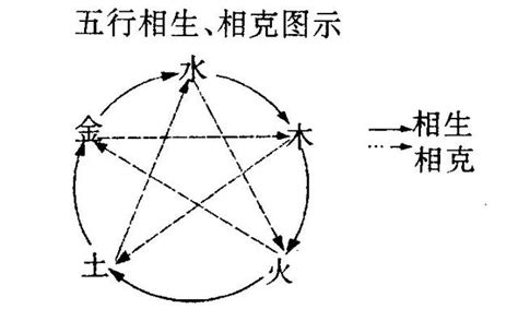 五行相侮|五行乘侮